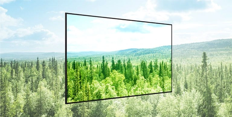 Award-winning sustainability commitment